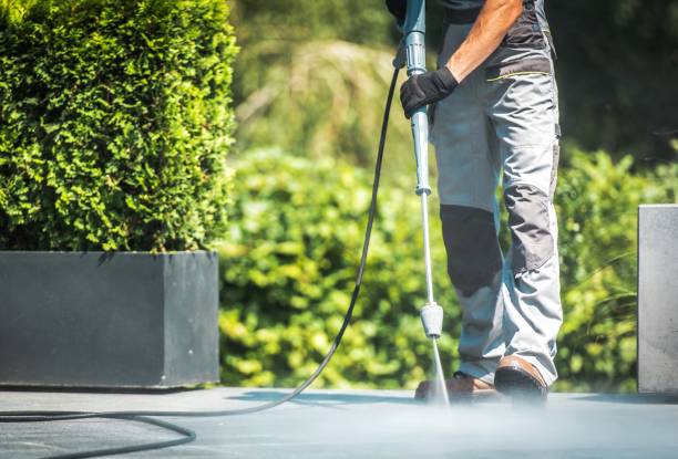 Best Fence Cleaning  in Wills Point, TX