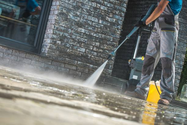 Best Building Exterior Washing  in Wills Point, TX