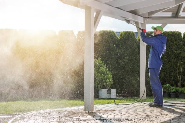 Best Pool Deck Cleaning  in Wills Point, TX