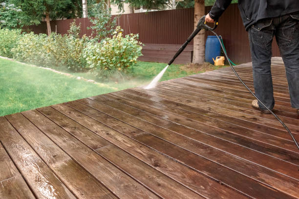 Best Roof Washing  in Wills Point, TX